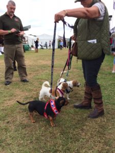 Game Fair 2017